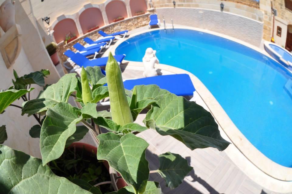 Mikiel U Rosa Holiday Farmhouse With Large Private Pool Zebbug  Eksteriør bilde